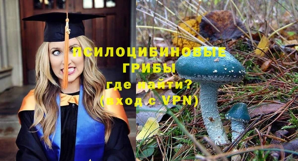 ALPHA-PVP Алексеевка